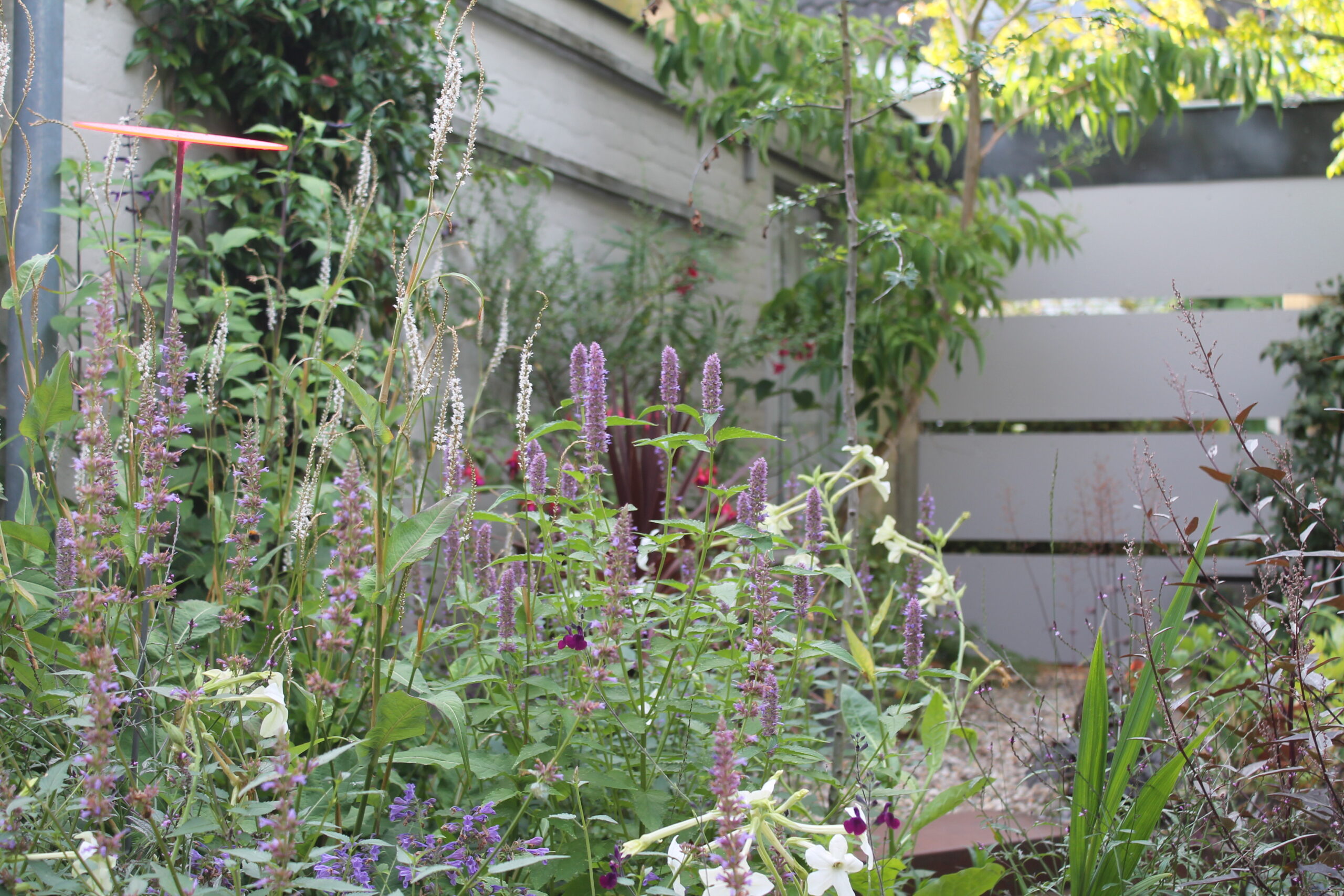 stadstuin met twee gezichten