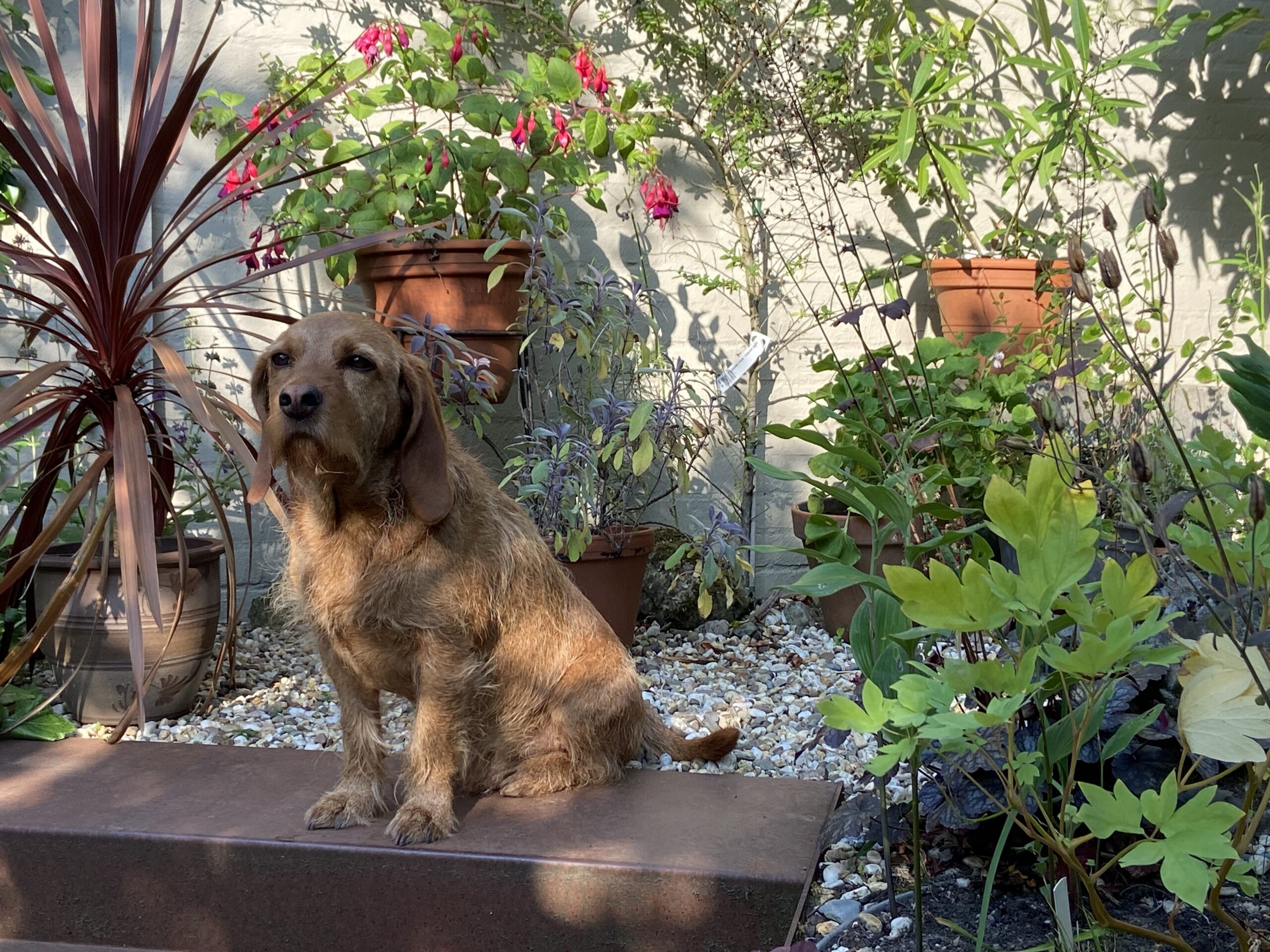 Stadstuin met twee gezichten